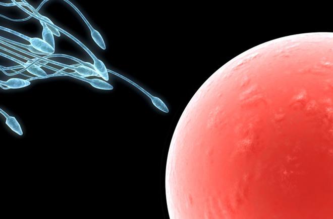 Mennyi sperma él, és mennyire állnak ki ejakulációval